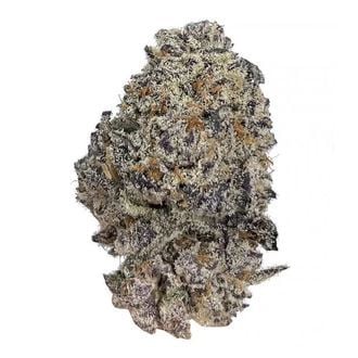 Original Oz (Growers Choice) femminizzata