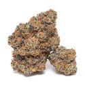 King Louis Garcia (Growers Choice) femminizzata