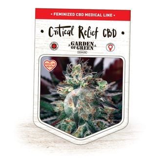 Critical Relief CBD (Garden of Green) feminized