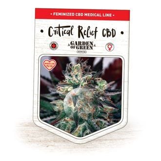 Critical Relief CBD (Garden of Green) femminizzata