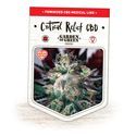 Critical Relief CBD (Garden of Green) femminizzata