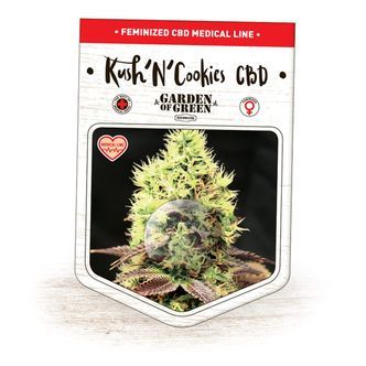 Kush'N'Cookies CBD (Garden of Green) femminizzata