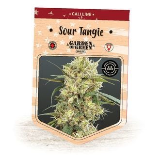 Sour Tangie (Garden of Green) femminizzata