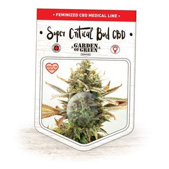Super Critical Bud CBD (Garden of Green) femminizzata