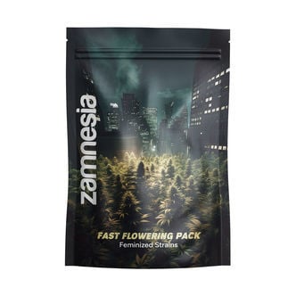 Fast Flowering Pack - Varietà Femminizzate