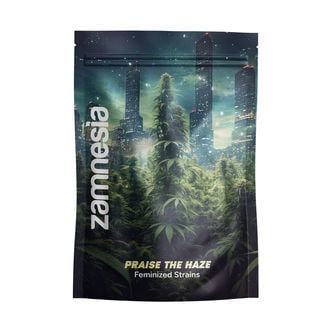 Praise the Haze Pack - Varietà femminizzate