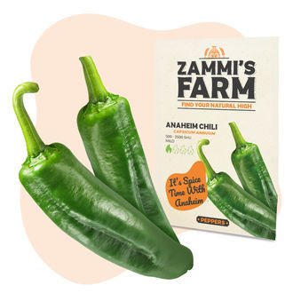 Confezione piccantezza lieve - Semi di peperoncino