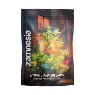 Strain Sampler Pack - Automatiche da Outdoor