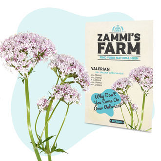 Confezione di Semi del Benessere - Zammi’s Farm