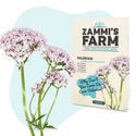 Confezione di semi di piante officinali - Zammi’s Farm