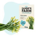 Confezione di semi di piante esotiche - Zammi’s Farm