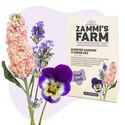 Confezione di semi di piante da fiore - Zammi’s Farm