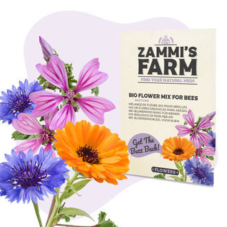 Confezione di semi di piante da fiore - Zammi’s Farm