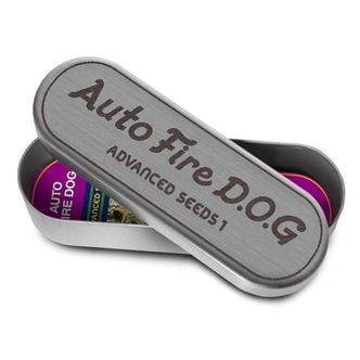 Auto Fire DOG (Advanced Seeds) femminizzata