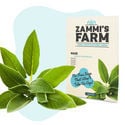 Confezione di semi di erbe per barbecue - Zammi’s Farm