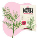 Confezione di semi di erbe per barbecue - Zammi’s Farm