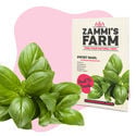 Confezione di semi di erbe per barbecue - Zammi’s Farm