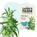 Confezione di semi di erbe per infusioni - Zammi’s Farm