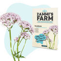 Confezione di semi di erbe per infusioni - Zammi’s Farm