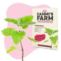 Confezione di semi di erbe per infusioni - Zammi’s Farm