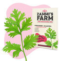 Confezione di semi di erbe aromatiche - Zammi’s Farm