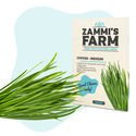 Confezione di semi di erbe aromatiche - Zammi’s Farm