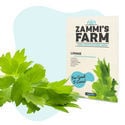 Confezione di semi di erbe aromatiche - Zammi’s Farm