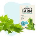 Confezione di semi di erbe aromatiche - Zammi’s Farm