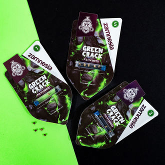 Green Crack F1 Auto (Zamnesia Seeds) femminizzata