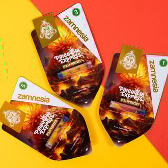 Pineapple Express F1 Auto (Zamnesia Seeds) femminizzata