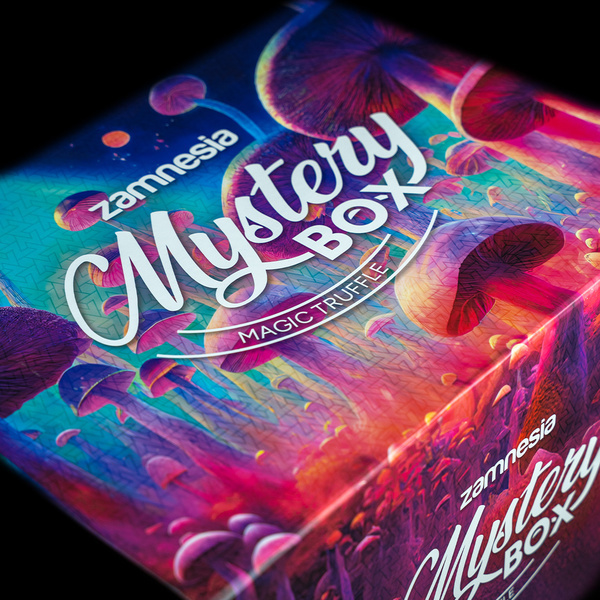 Mystery Box tartufi allucinogeni (Zamnesia)