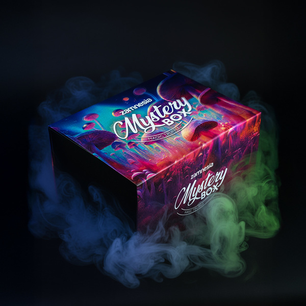 Mystery Box tartufi allucinogeni (Zamnesia)