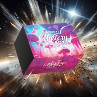 Mystery Box tartufi allucinogeni (Zamnesia)