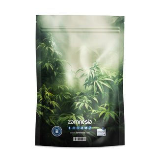 Bustine richiudibili Monstrous Monsters (Grande)