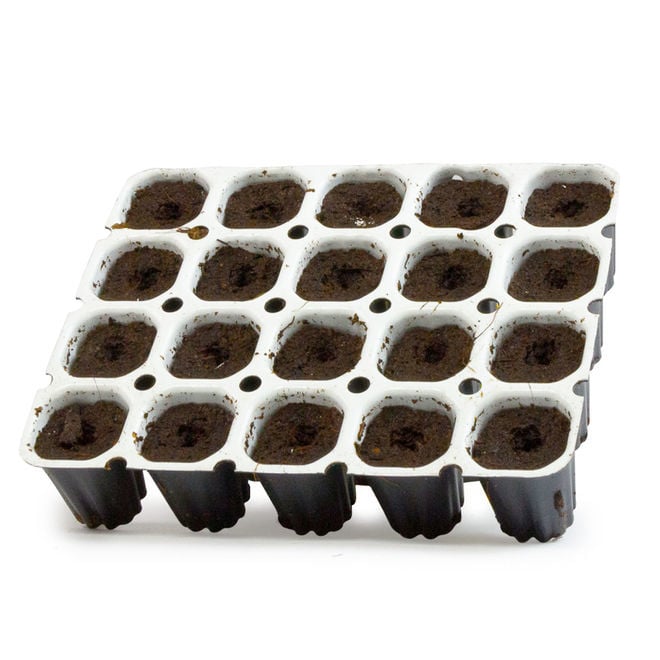 KIT AVVIAMENTO PIANTE Di Cartone Pianta Vivaio Set Propagatore Giardino - Foto 5