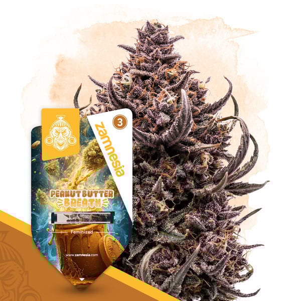 Peanut Butter Breath (Zamnesia Seeds) femminizzata