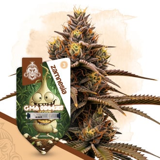 GMO Cookies Auto (Zamnesia Seeds) femminizzata