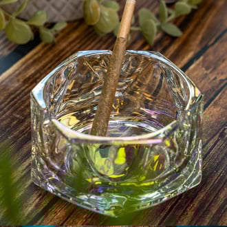 Posacenere in Vetro (Zamnesia)