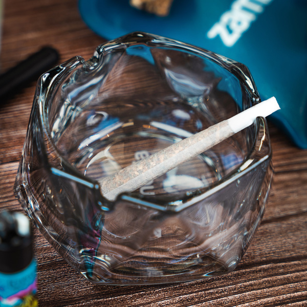 Posacenere in Vetro (Zamnesia)