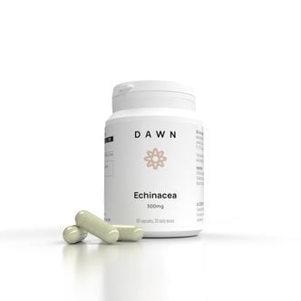 Echinacea (Dawn Nutrition)