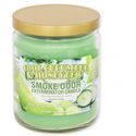 Candela Cool Cucumber & Honeydew (Smoke Odor Exterminator)