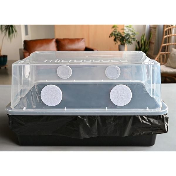 'Mark 1' Mushroom Monotub (Microppose)