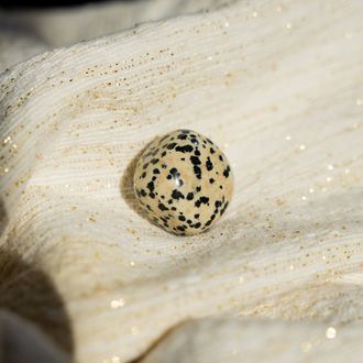 Diaspro dalmata