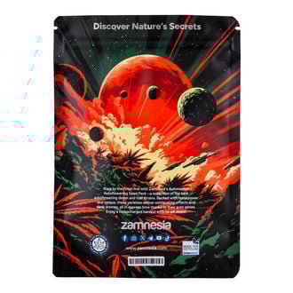 Full Throttle Pack - Varietà autofiorenti