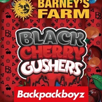 Black Cherry Gushers (Barney's Farm x Backpackboyz) femminizzata
