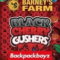 Black Cherry Gushers (Barney's Farm x Backpackboyz) femminizzata