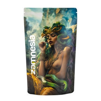 Bustine richiudibili Medusa (Extra Grande)