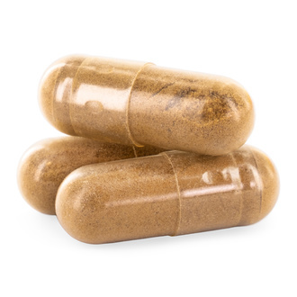 Capsule di Fungo Criniera di Leone (Zamnesia)