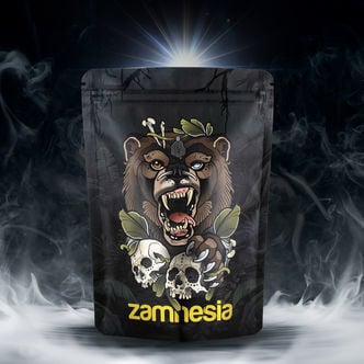 Treasure Pack TRIBE "Roaring Bear"