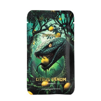 Citrus Venom Automatic (Zamnesia Seeds) femminizzata